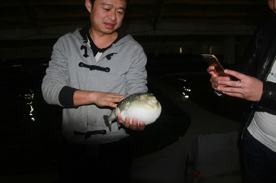 大連啟航“海魚陸養”保險，海水養殖技術研發迎來新機遇